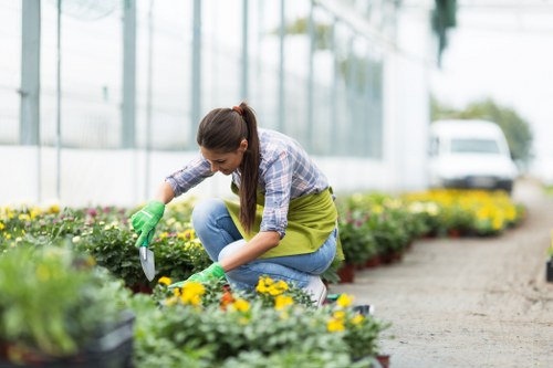 A woman kneeling on a garden path in a well-maintained outdoor space, tending to a colourful flower bed with yellow and purple blooms. The garden features a lush, green lawn bordered by neatly arranged flower beds, along with shrubs and small trees in the background. She is wearing a plaid shirt, blue jeans, and green gardening gloves, and is holding a small garden trowel as she carefully works among the plants. The scene is set during daylight hours with natural light illuminating the garden, and a greenhouse or glass building can be seen in the background, suggesting a domestic or community gardening environment in Shadwell. The overall setting showcases a thoughtfully landscaped outdoor area suitable for gardening and lawn care services offered by Lawn Mowing Shadwell, emphasizing attention to garden layout, plant diversity, and outdoor maintenance.