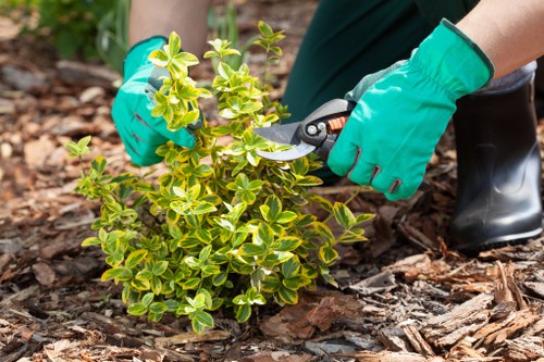 High-quality lawn maintenance equipment