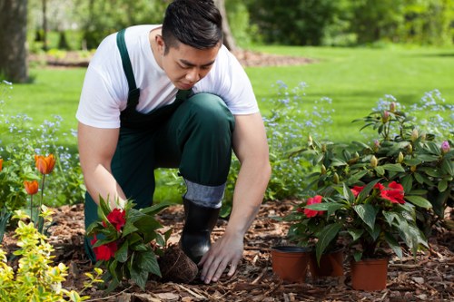 A gardening professional wearing a white shirt and dark overalls is kneeling on a mulch-covered flower bed in a well-maintained outdoor garden, planting or tending to vibrant red and green foliage plants. The garden features lush green grass, with a neat lawn area in the background, bordered by a variety of shrubs, flowering plants, and small trees. Dense trees and a hedge line are visible further back, providing privacy and natural shade. The garden is set in bright daylight, suggesting fair weather, with sunlight illuminating the scene. The overall environment presents a landscaped backyard or front garden typical of residential spaces in Shadwell, with a focus on healthy plant growth and tidy outdoor maintenance, reflecting professional gardening and lawn care services by Lawn Mowing Shadwell that support vibrant, well-kept outdoor environments.