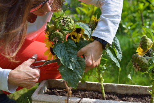 gardening team discussing a complaint on site